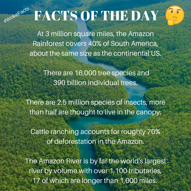 Woke Facts on Twitter "FACTS OF THE DAY Amazon 