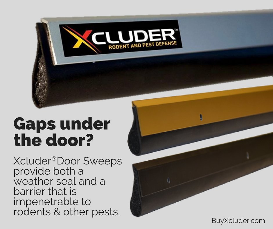 Xcluder On Twitter Finally A Door Sweep That Works
