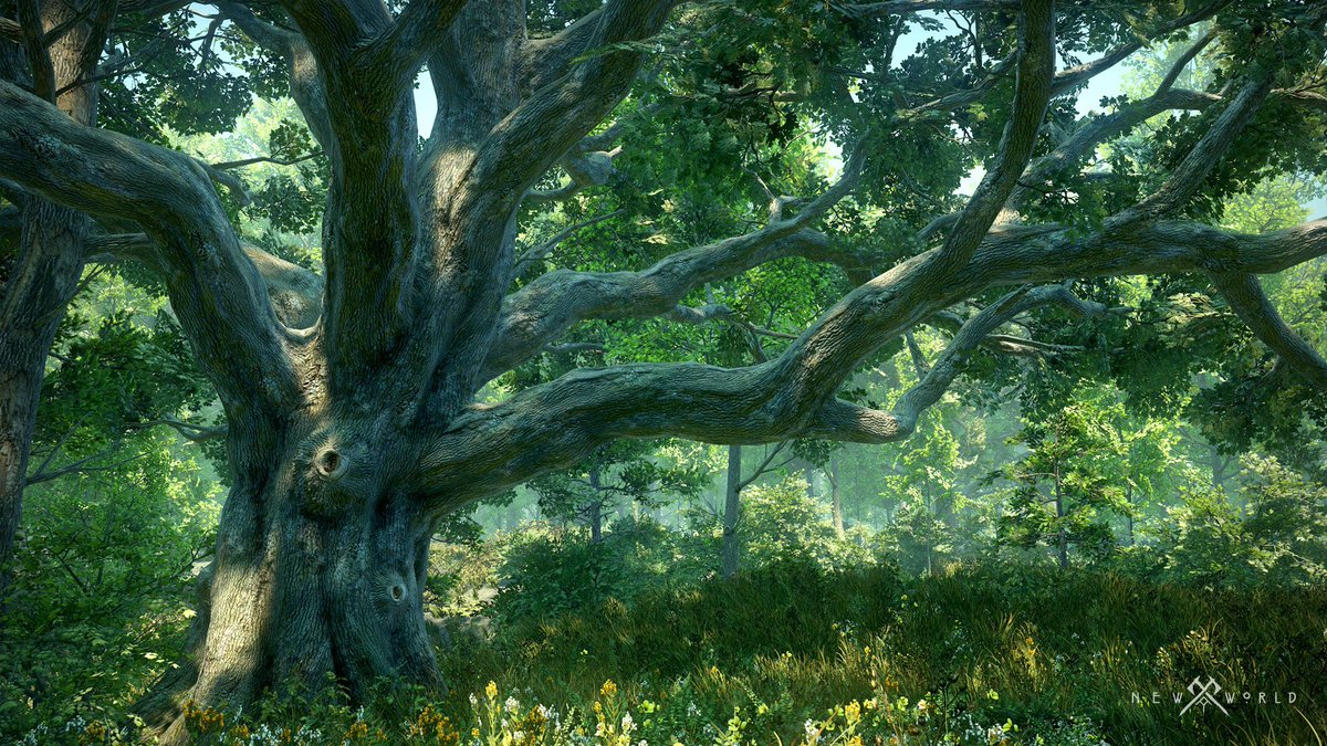 vmaun's tweet photo. Excited to see some more #newworld and @PlayBreakaway images out in the wild. https://t.co/YsiWs4HAof https://t.co/is6m88wSRn