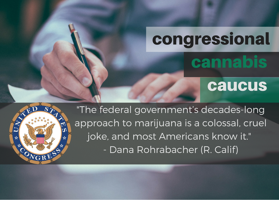 evolutionzbiz's tweet photo. What's to come of the Trump administration and cannabis. Can they leave it up to the states? @jaredpolis #congress https://t.co/JOfml27zwf https://t.co/tLEz7Rd2tr
