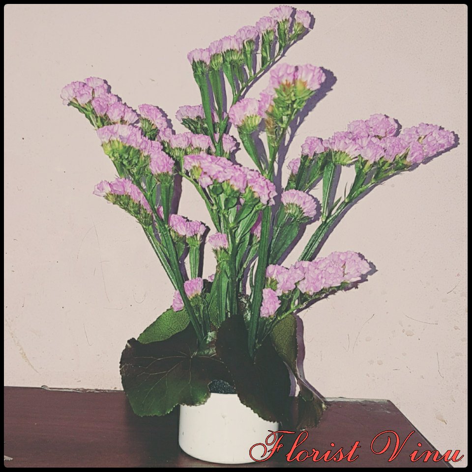 qualityflower's tweet image. 