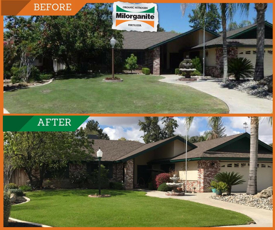 Milorganite Before And After - slidesharefile