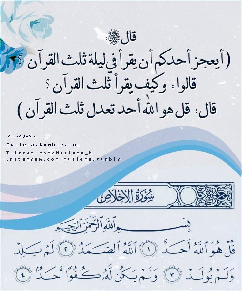 ࿐❥❀

.
.
.

#ثلث_القرآن🌸🍃