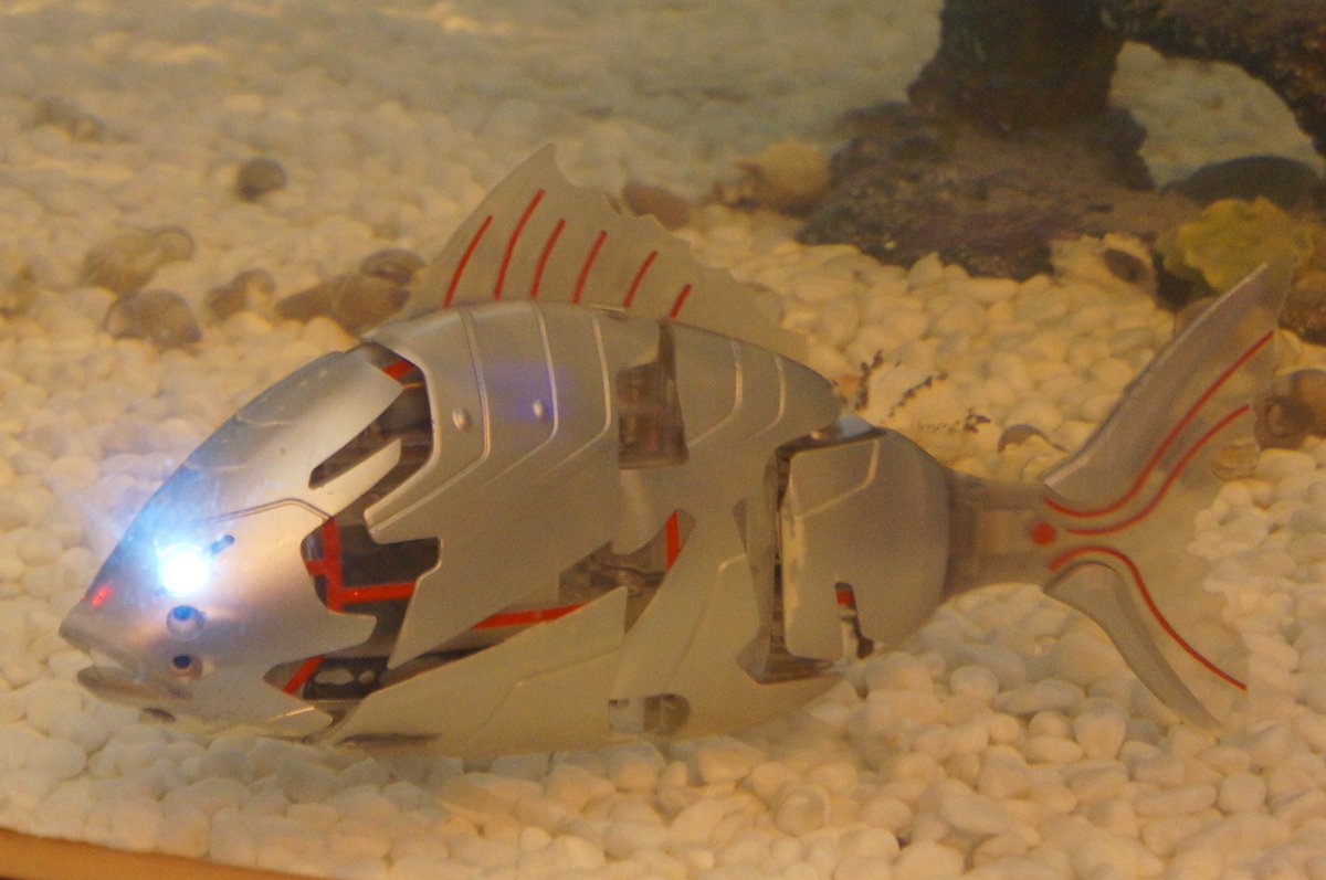 AKD_56's tweet photo. #FishTechnology @pbattershell101 https://t.co/s4MvFJCWge