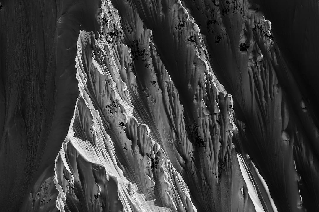 Brain Farm tweet media