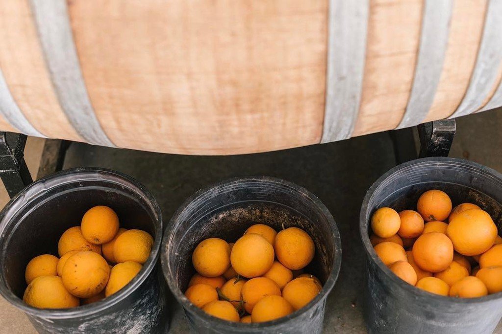 Barnone AZ tweet media