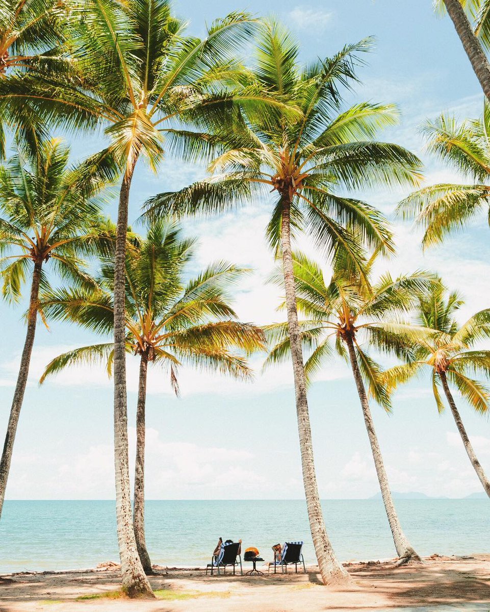 Find <a href="/kpurlingphoto/">mycolourfulworld_</a> under the 🌴 at <a href="/PalmCove_QLD/">Visit Palm Cove</a> with a 📖 in hand! <a href="/Queensland/">Queensland Australia</a> <a href="/Australia/">Australia</a> #exploreTNQ