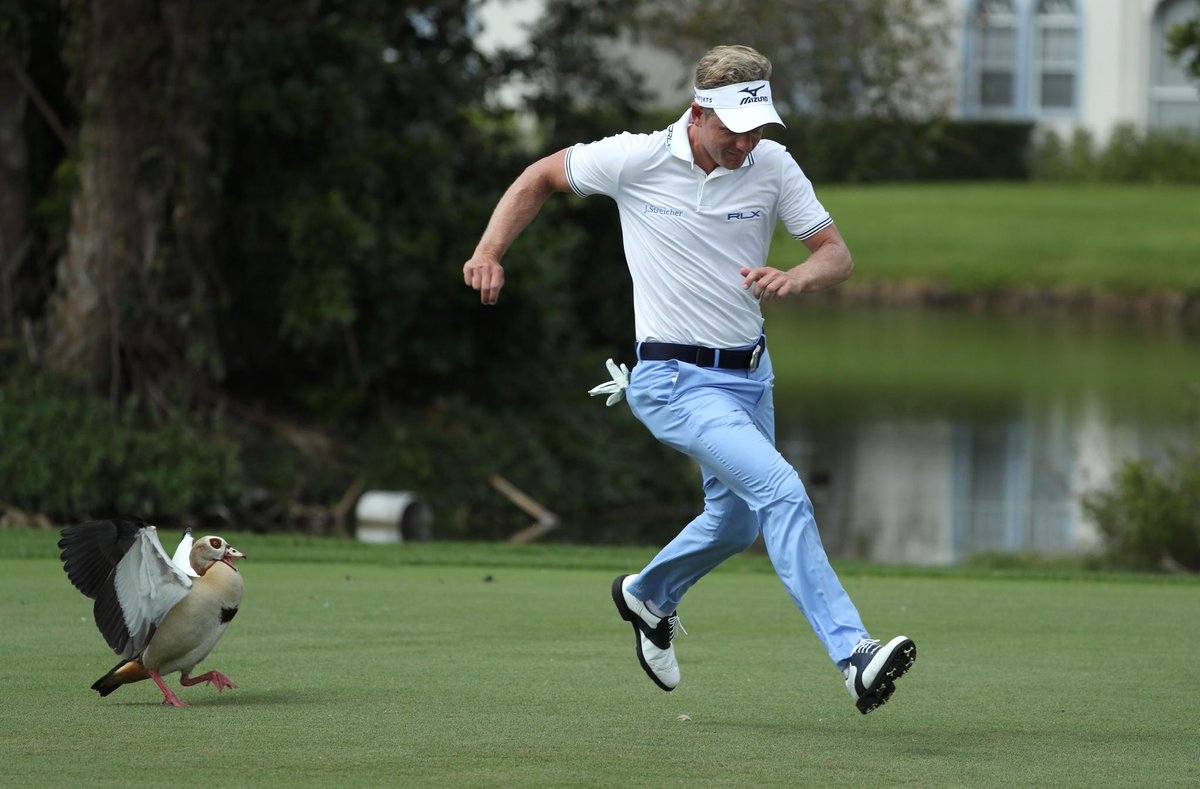 florida-swinging-moderns-porno-torrents-diamon