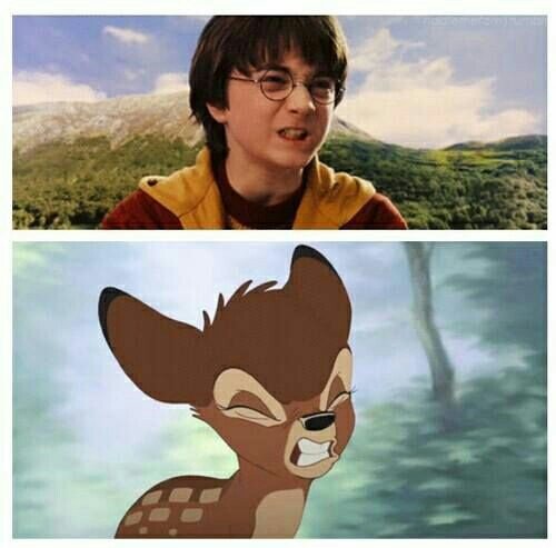 ~Baby Prongs~