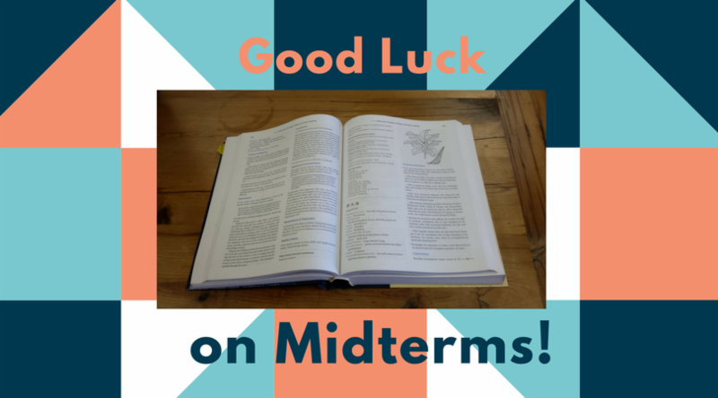 SWACsocial's tweet image. Week At A Glance - Week 8 conta.cc/2lSGrwM