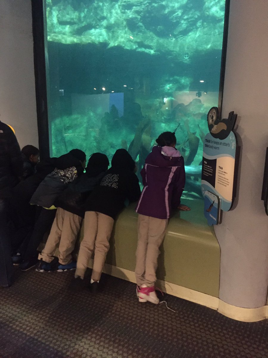 Ashley LoSurdo tweet media