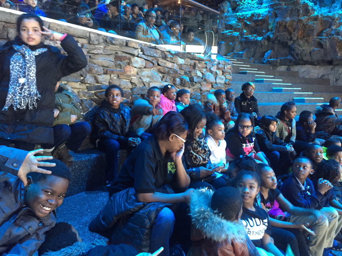 Ashley LoSurdo tweet media