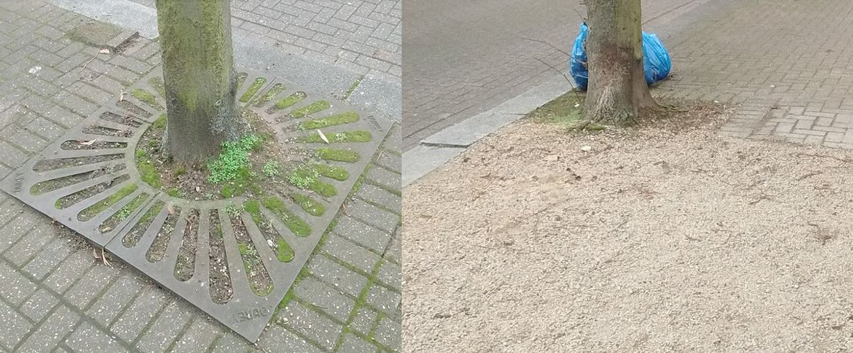 RotherhitheTCG's tweet photo. Durey #TreeGrates missing from DockHillAve
"Not been stolen"? #Treepits not extended.
@slooshbag5 @colin_boyle_ @cllr_anood @LibDemDan https://t.co/xNbupqtQ16
