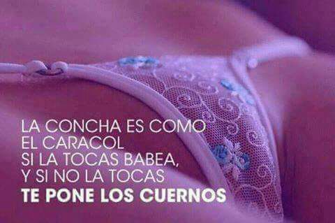 AZARECTOR187's tweet photo. #ViernesDeMemes
Mmmmmm CHABOCHA LA PANO.... https://t.co/1qrLtXki6V