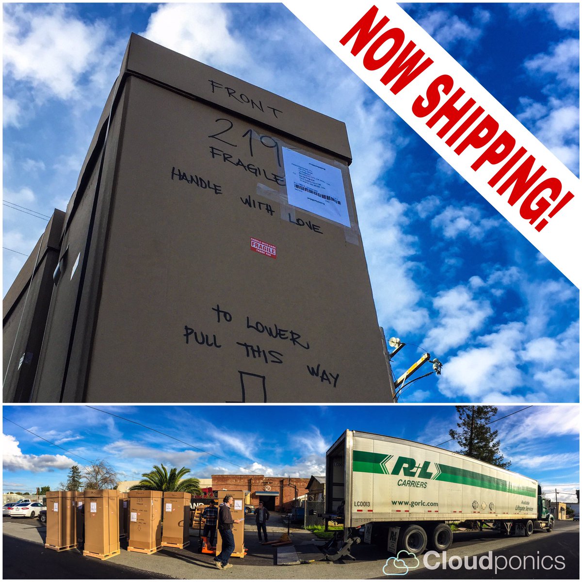 cloudponics's tweet photo. ¡We are shipping our GroBoxes! ☁️🌱
#handlewithlove
#cloudponics #hydroponics #marijuana #medicalmarijuana #weed #growyourown #cannabis https://t.co/y6xWi5tEyO