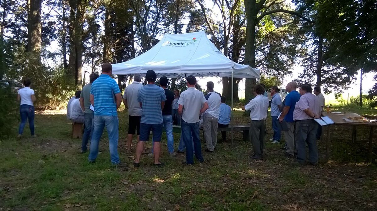 SummitAgroAr's tweet photo. Hoy salimos al #campo a recorrer híbridos de #maíz tratados con #RaceRM ¡Gracias a @movimiento_crea Ascensión y @lucrecouretot ! https://t.co/94pt1SjG4N