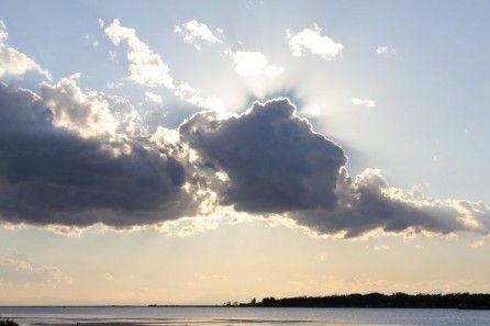 WashArchdiocese's tweet photo. Little Sister of the Poor, Sr. Constance Veit, reflects on Crossing the Threshold with Hope. #TransformFear https://t.co/61XeNYMQ05 https://t.co/UGvU2eIdkZ