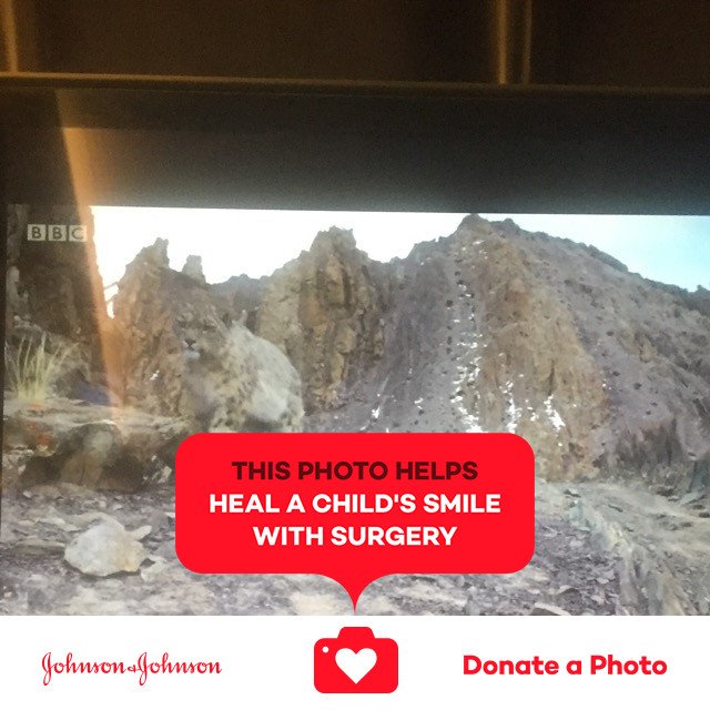 aogwu1's tweet photo. Watching #planetearth on train home to sunny Glasgow!! Time to relax 😴 #jnj #donateaphoto #UntilWeHeal https://t.co/06if0JVP4c https://t.co/Nj8PD4l4nB