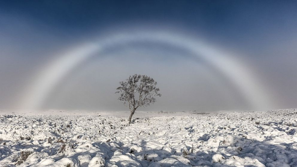 GajHaj's tweet photo. In all things of nature there is something of the marvelous.
- Aristotle

Rare Fog Bow (white rainbow), Scotland
PHOTO: Melvin Nicholson https://t.co/9uGO41BFVd
