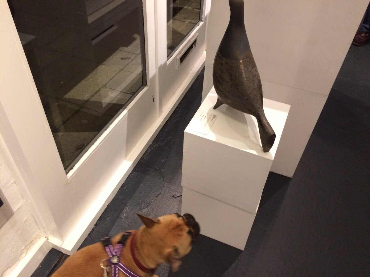 Seymour_Art's tweet photo. Delilah taking an interest in the art tonight @ Cameron Contemporary #artlovingFrenchie #CameronContemporary https://t.co/pBc2wlai4M