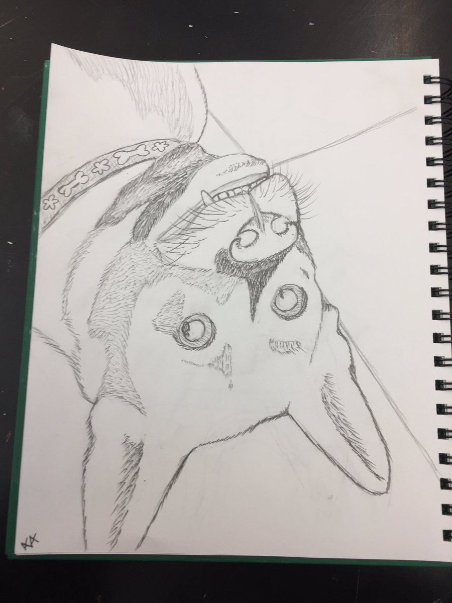 Yikes_Arts's tweet photo. ✍🏻#pup #pupper #puppy #dog #doggo #art #scratchboard #engraving #sketch #myart #mysketch #wip #roxy #cute #funny #mine #original #pencil#pen https://t.co/Zpyypxk8hT