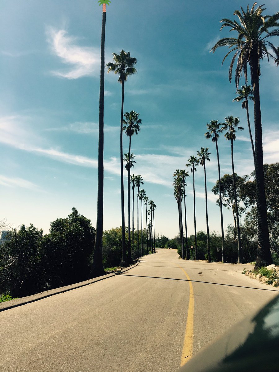 David_Bitchess's tweet image. 