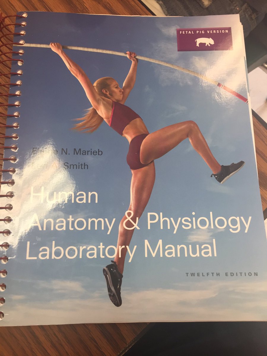 Collect_Figures's tweet photo. @NECA_TOYS correct type of book to help with anatomy and sculpting? https://t.co/nneYroAWwj
