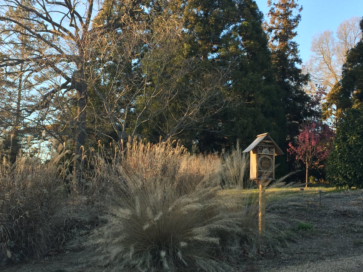 TreeBugGal's tweet image. Solitary bee house made from urban waste wood is now open for guests!
#pollinators #beehabitat