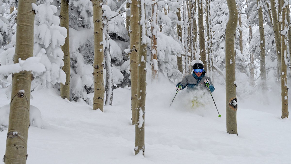 Dave Fraser tweet media