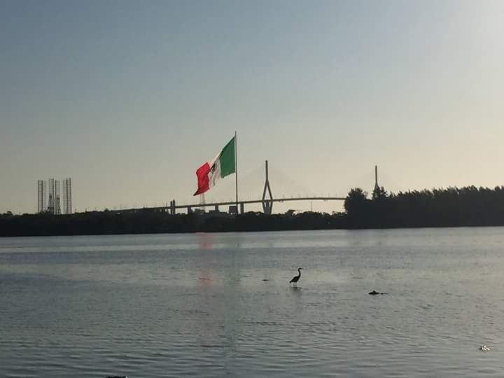 Triastann's tweet photo. Hoy es un día especial para todas y todos los Mexicanos, Apesar de tanta descriminación todos  somos ❤ ❤🇲🇪🇽🇮🇨🇴 https://t.co/5nhlQARzOc