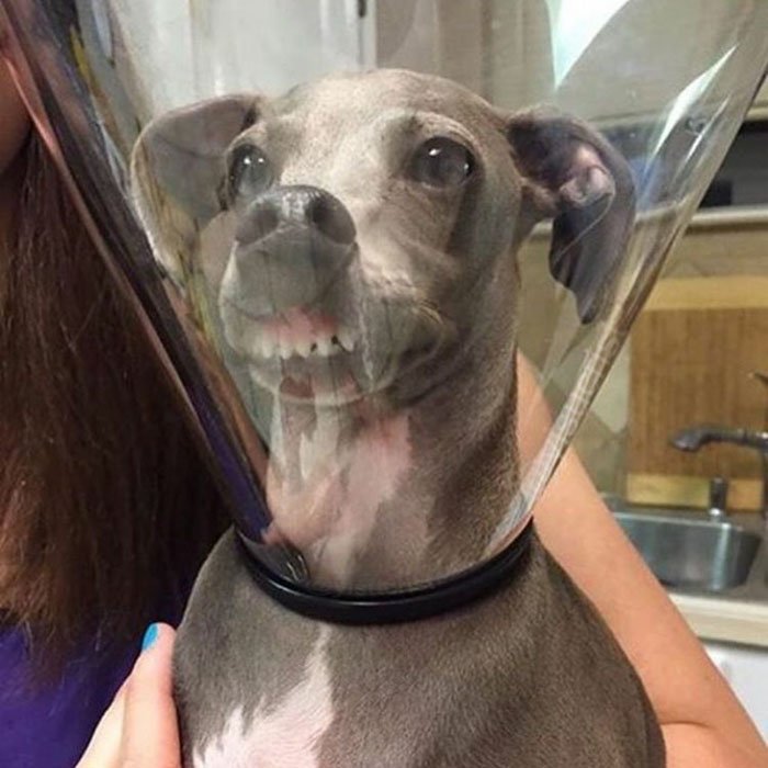 HUMANO DEFJA DE ASER FOTOZ EZTO NO EZ GRAFIOFO
