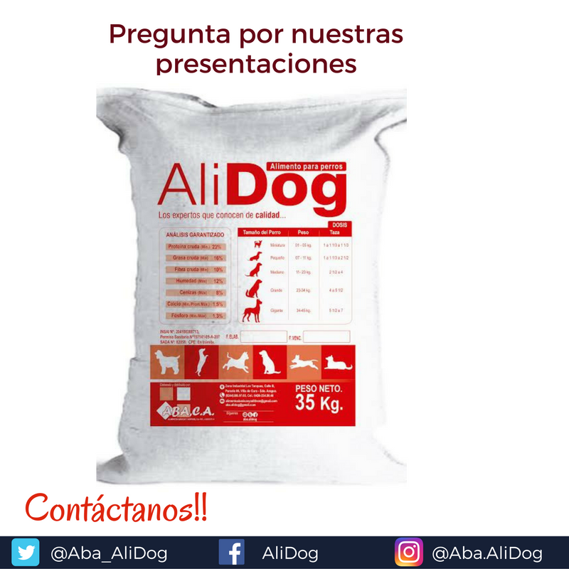 Aba_AliDog's tweet photo. Pregunta por nuestras 3 presentaciones de 10KG, 15KG y 35KG ¡Dale a tu perrito lo mejor, dale #AliDog ! #perrarina #alimentoparaperros https://t.co/gU7SuRIn20