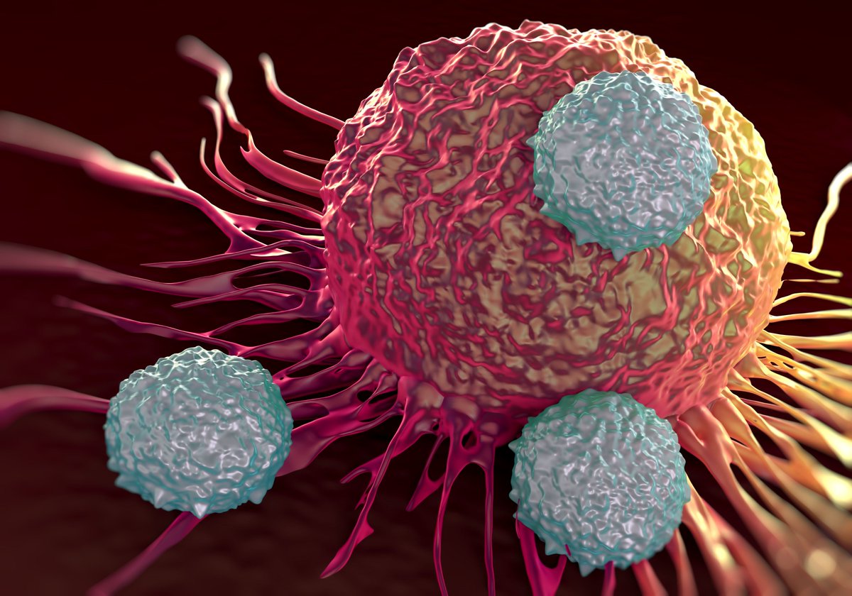 cancersociety tweet picture