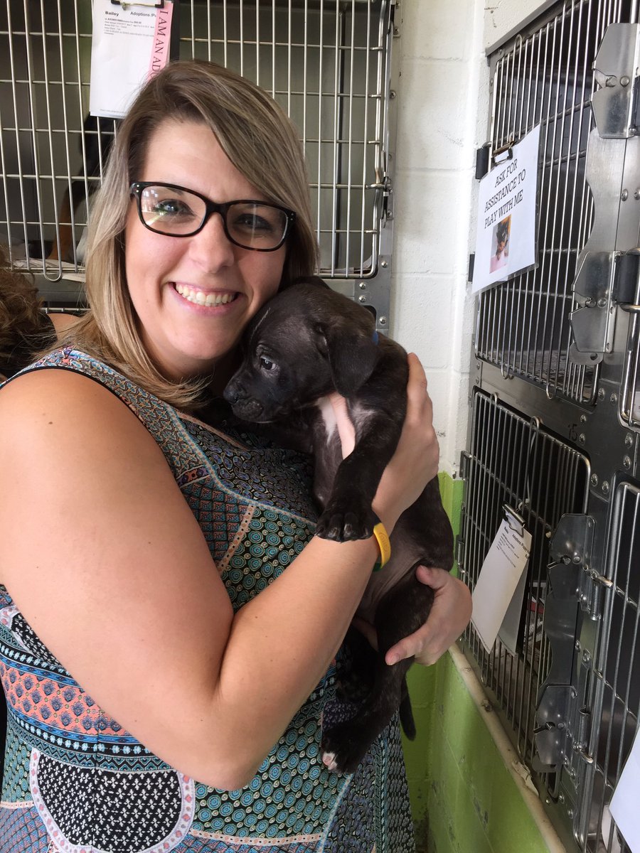 pvhsbeta's tweet photo. We dropped off 2 loads of donations today at the Gvlle Humane Soc. We also loved on some animals. @PowdersvilleHS #betacares #loveourpets https://t.co/7xDTKfen9C
