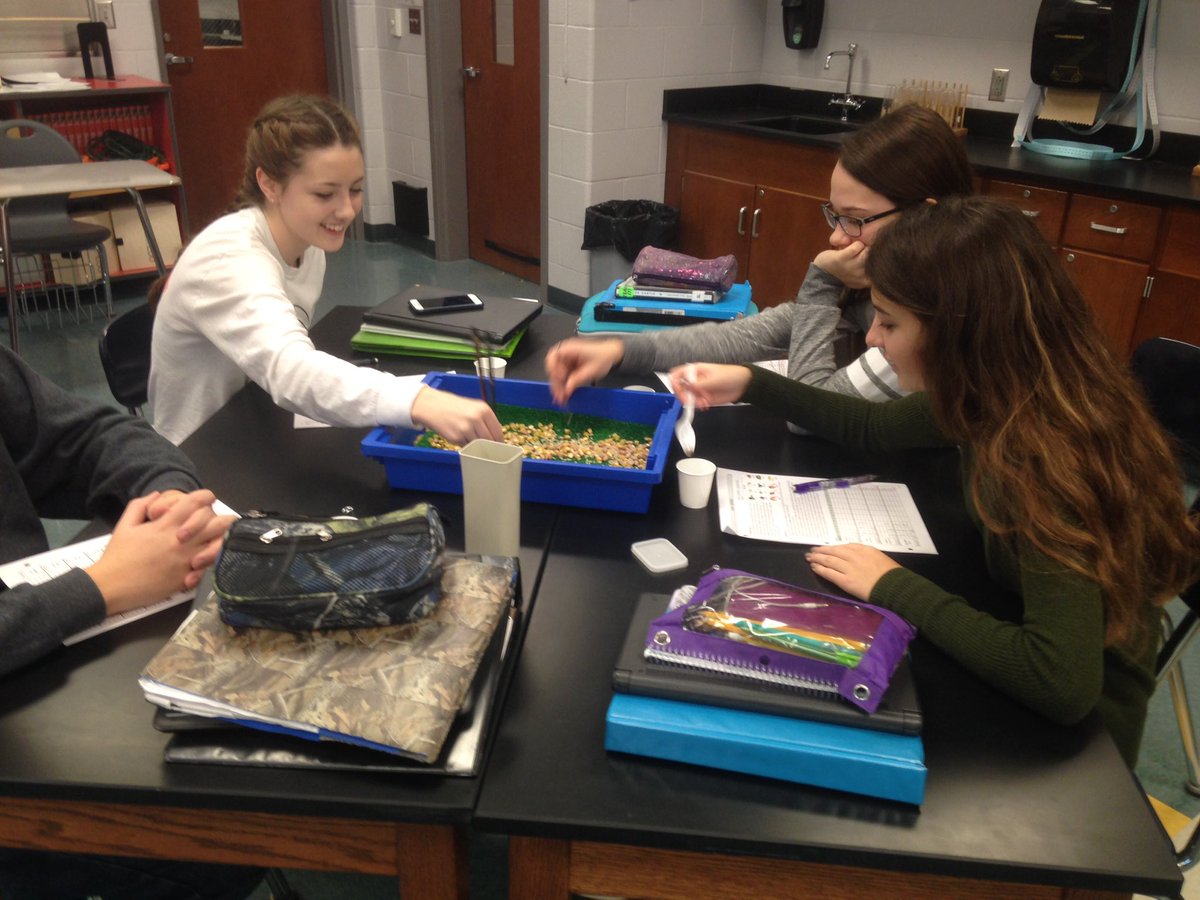knightbio1's tweet photo. These "birds" were feeding during #HonBio today. Collected mnts. of data. Will be mining that data next week #OtsegoKnights #MyOhioClassroom https://t.co/qfAfucv3Ma