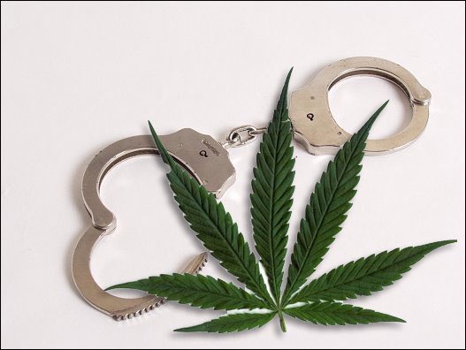 When we refer to ourselves as an institution of Higher Education, this is NOT what we mean...stay out of jail folks!