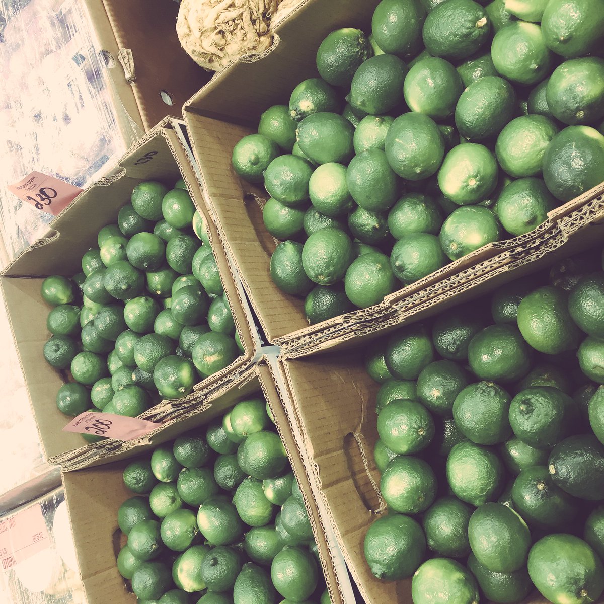 Hunts Point Market #NYC #produce #healthy #foodie