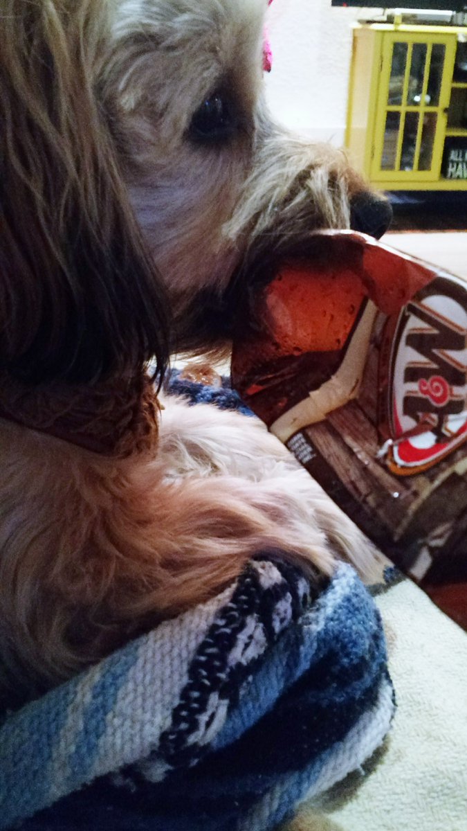 Someone's glad I finally finished the root beer!