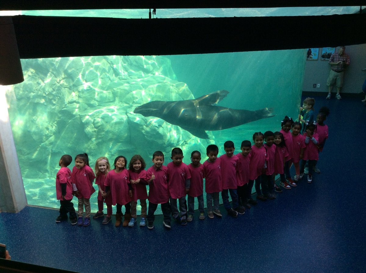 flo_fjackson's tweet photo. One of our best field trips! Thanks @RiverbanksZoo #freefridays #perfectweather #bestnaps @R2CFCD @PRE_Explorers @RichlandTwo https://t.co/U52QFOk1AI