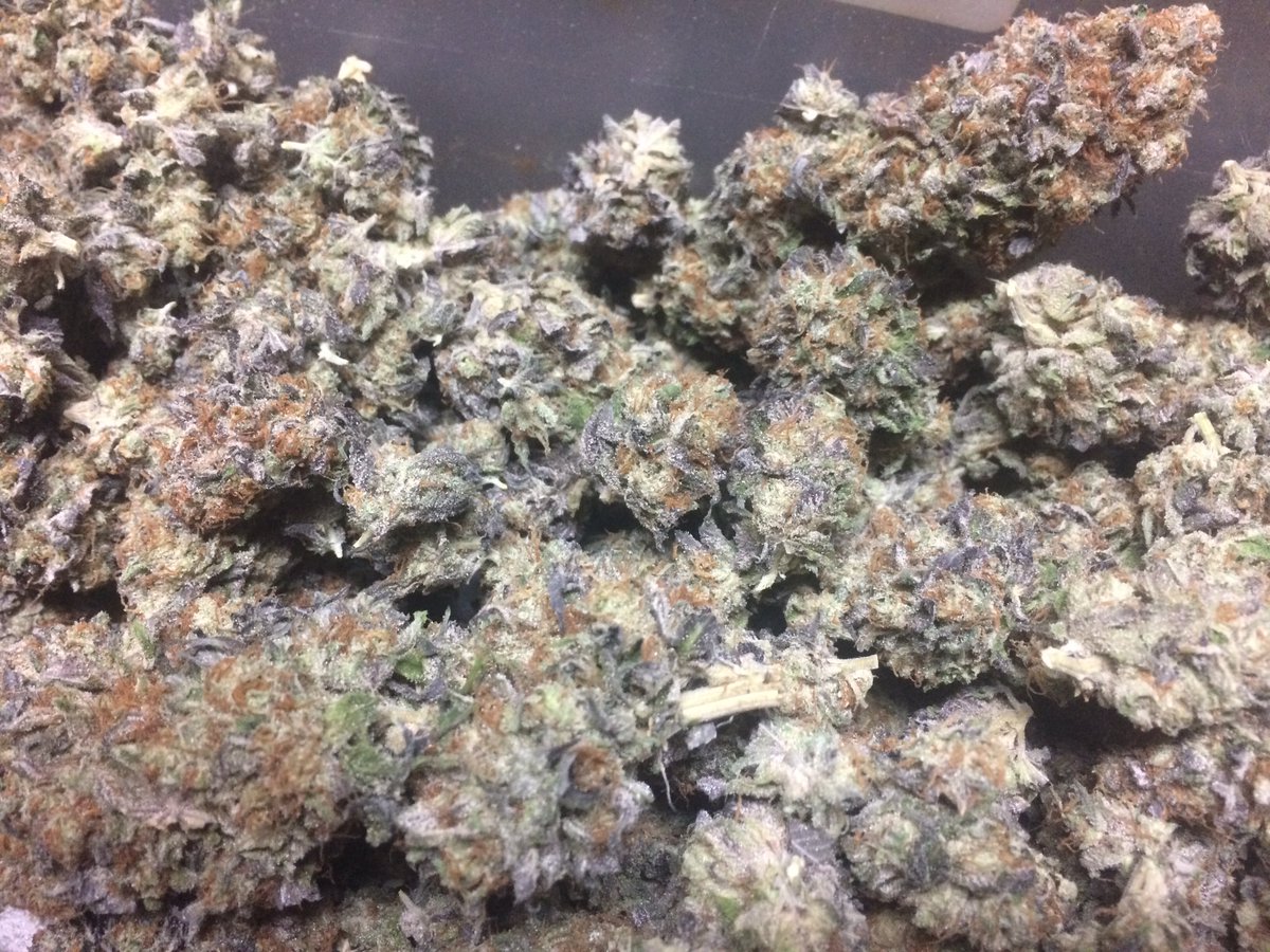 HighTilliDie28's tweet photo. Some gorgeous Black Dog grown and trimmed by yours truly.👌🏻🌷🌷 https://t.co/nOAI4MT5xM