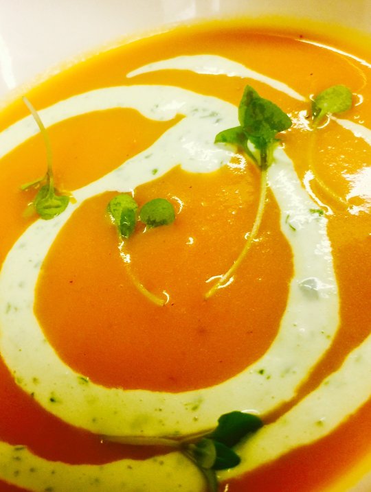 CSKcatering's tweet photo. Spiced Carrot Bisque | Carmelized Fennel, Basil Crème Fraiche https://t.co/vt2pd06LOf