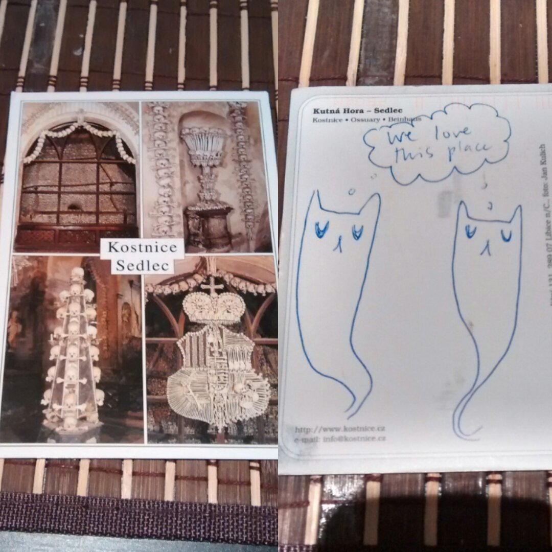 ghostcatscomic's tweet photo. The #ghostcard sent to @brianfhclement from the #SedlecOssuary in #CzechRepublic finally arrived! #bonechurch #kostnicesedlec #GhostCats https://t.co/xuQp7mapHz
