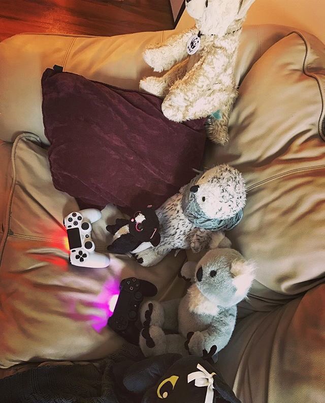 GaryLTravis's tweet photo. #MFW you realize you don't have enough #controllers #animals #spiritanimals https://t.co/0uFb3v2qCT