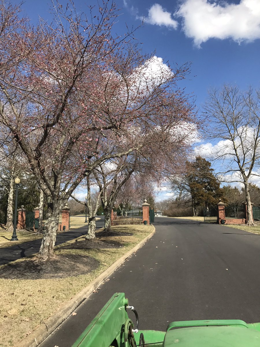 spcallahan23's tweet photo. Yesterday vs today #bloomsoon https://t.co/IkquKkmJYk