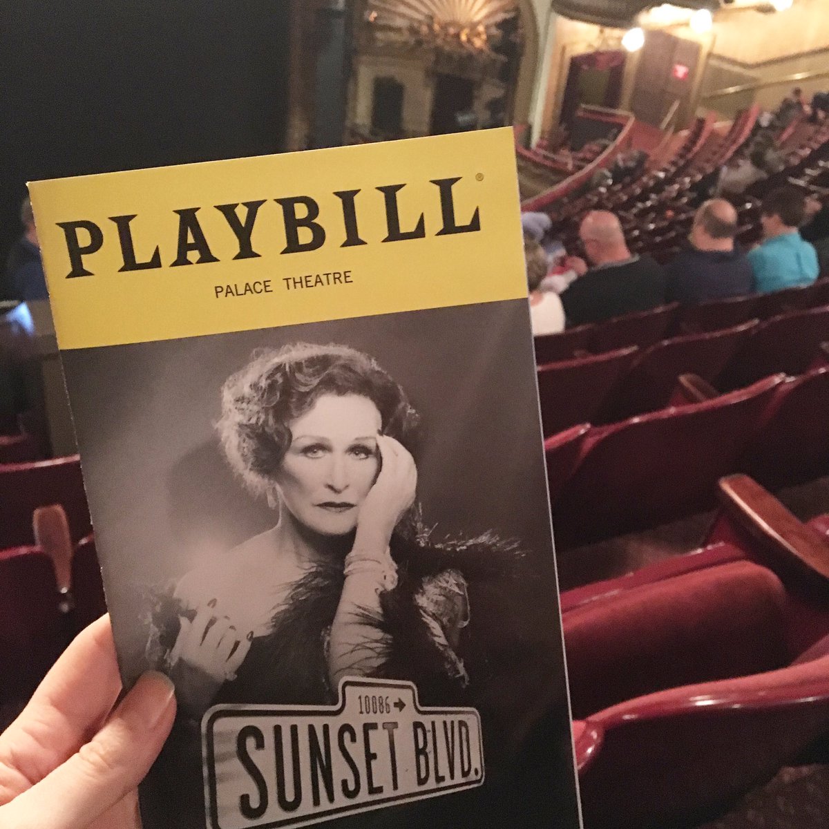JLTCatFan's tweet photo. Ready for tonight's entertainment! #nyclife  #showsfordays @sunsetblvd https://t.co/JMqZtdCqSu