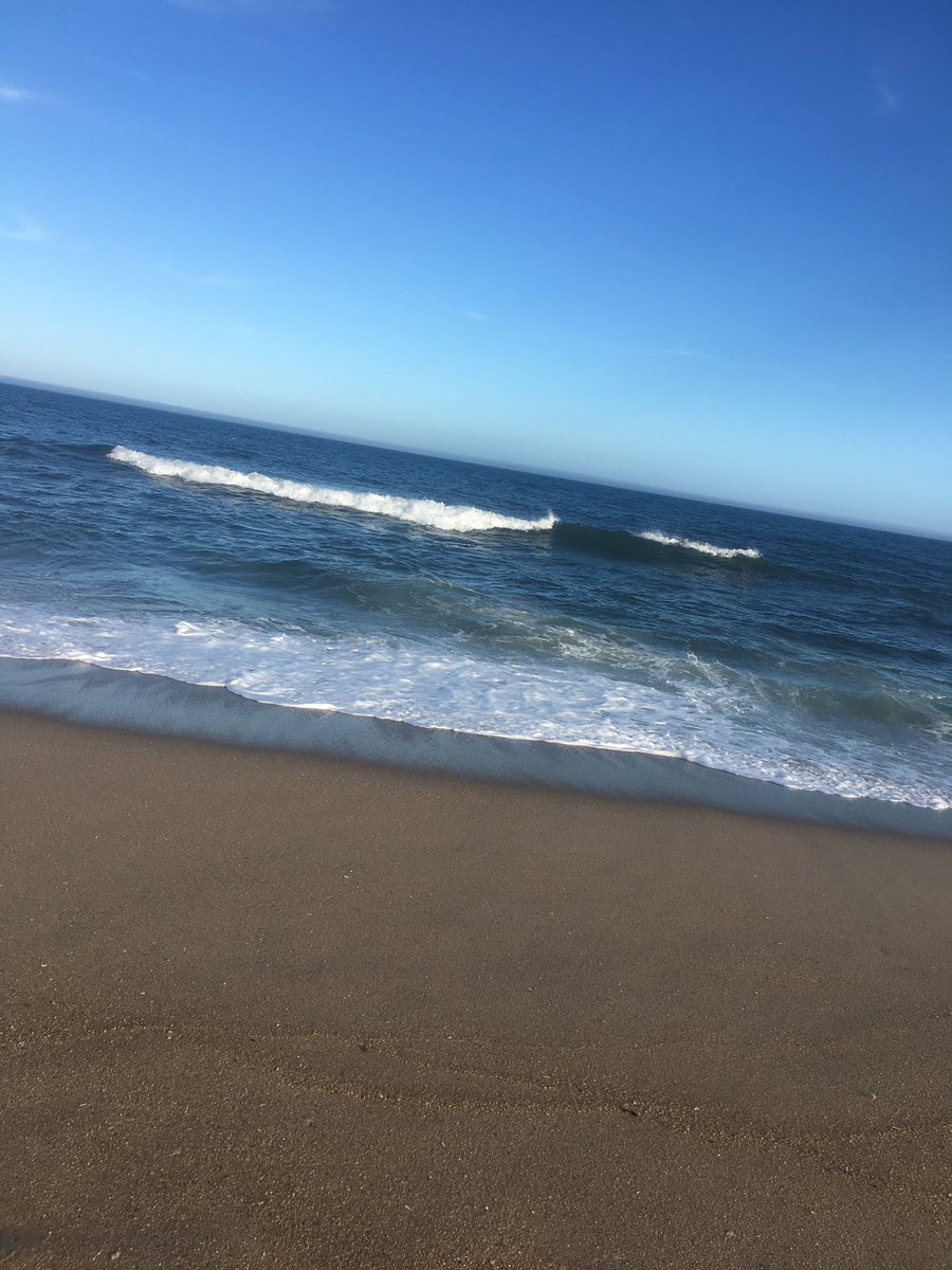 strawbrryluna's tweet image. ☀️