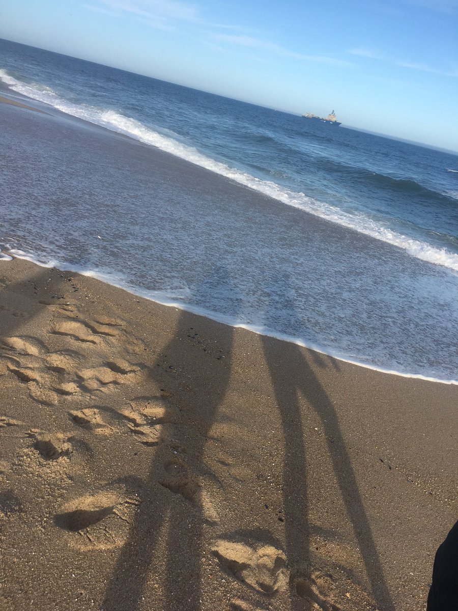 strawbrryluna's tweet image. ☀️