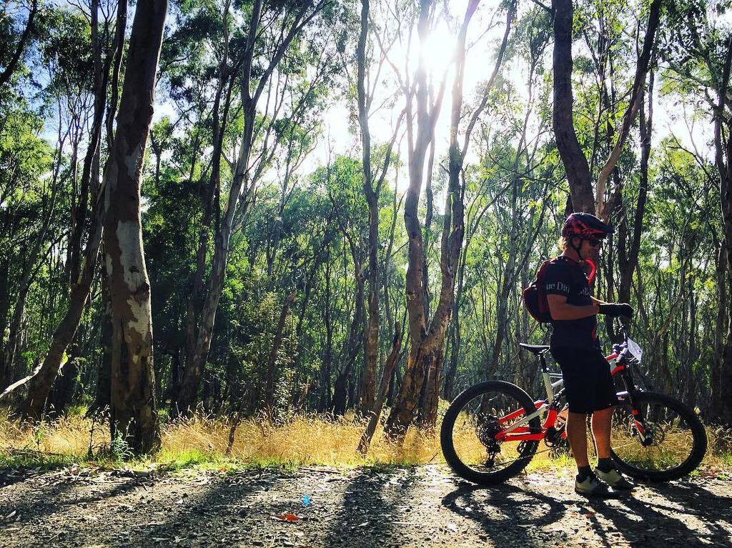 aimzbradley's tweet photo. Learning to shred 🚵🏼‍♀️
#destinationtrail #iamspecialized_mtb #rushmtb #adventureawaits https://t.co/1m2FkuifgZ https://t.co/wLZRvRYKsZ