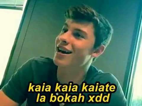 avionesdecarton's tweet photo. #partychilensisftvina2017 CUANDO EMPEZÓ GRITÉ Y MI MAMÁ ME DIJO: y no que a voh te cargaba el reggaeton ¿¿:D?? https://t.co/3zrxg9y79u
