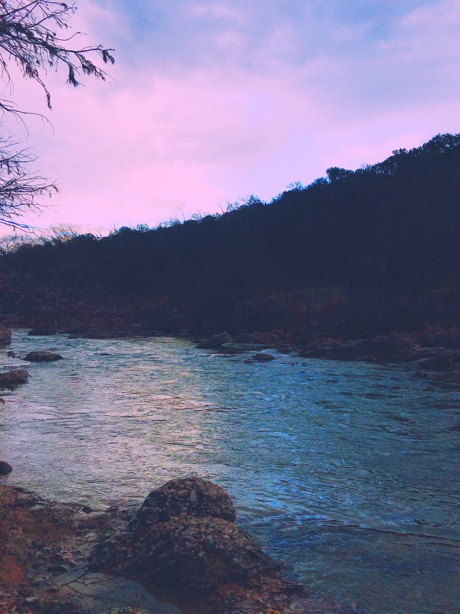 pettitlizzy's tweet photo. aesthetic https://t.co/phwbfWzzaU
